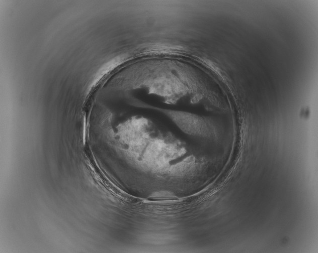 X0000115321219200911161737