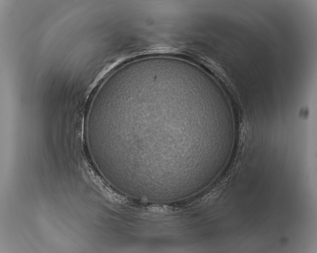 X0000115321220200911161737