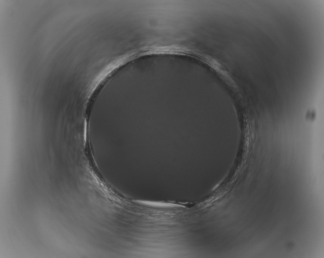 X0000115321221200911161737