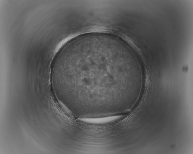 X0000115321222200911161737