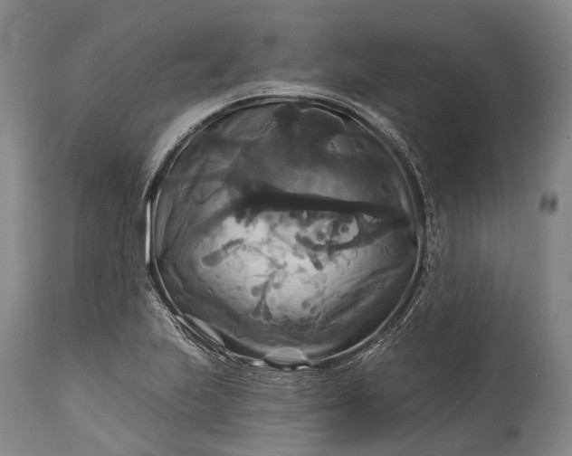 X0000115321223200911161737