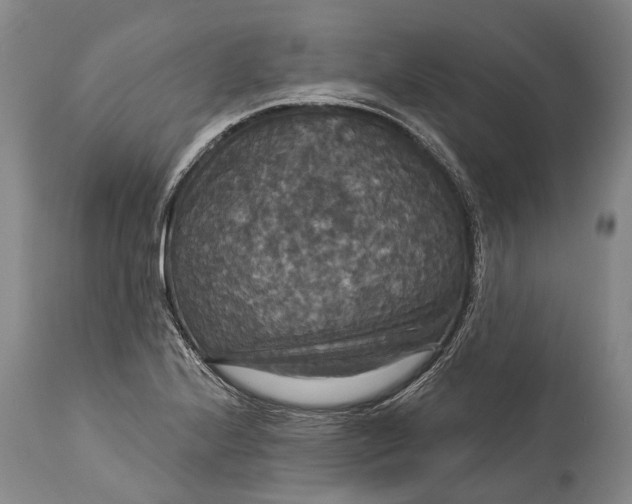 X0000115321224200911161737