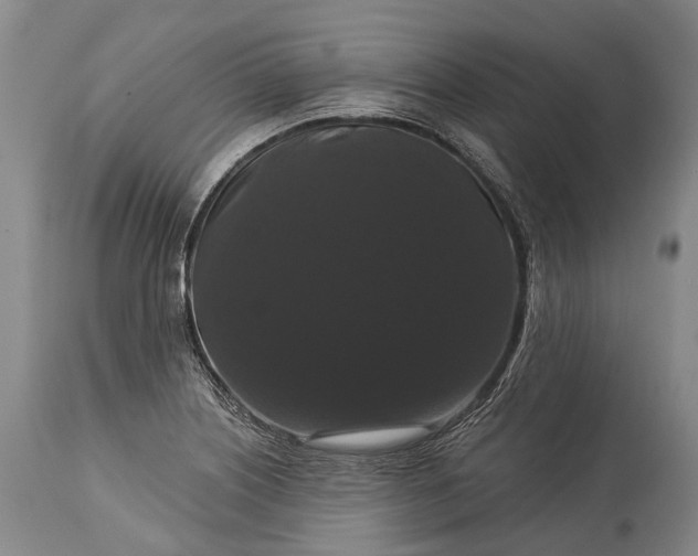 X0000115321226200911161737