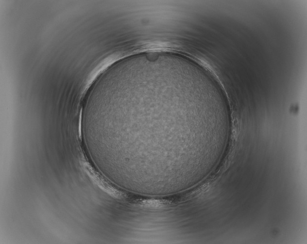 X0000115321227200911161737