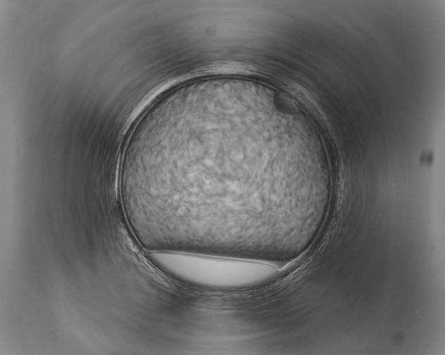 X0000115321228200911161737