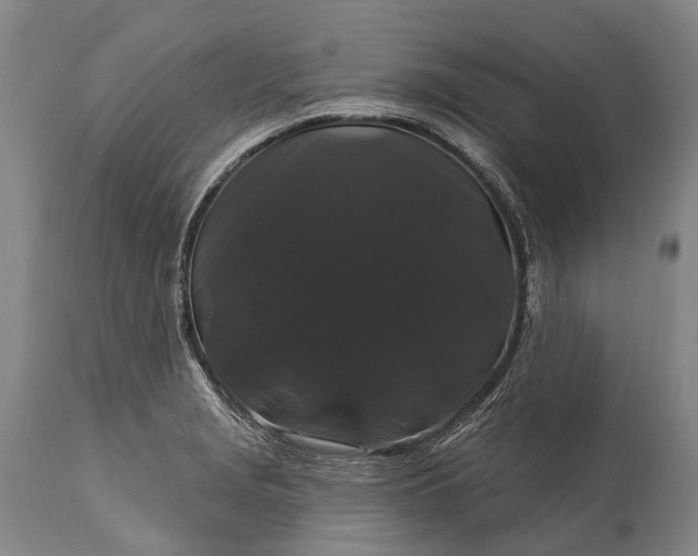 X0000115321229200911161737