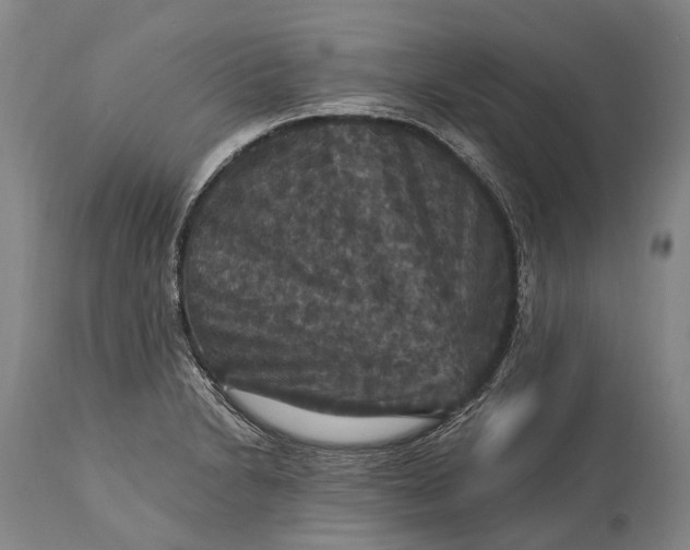 X0000115321230200911161737