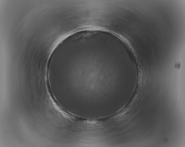 X0000115321231200911161737