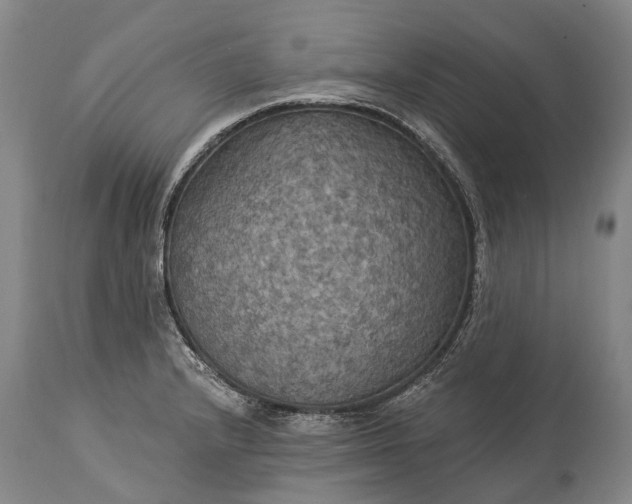 X0000115321232200911161737