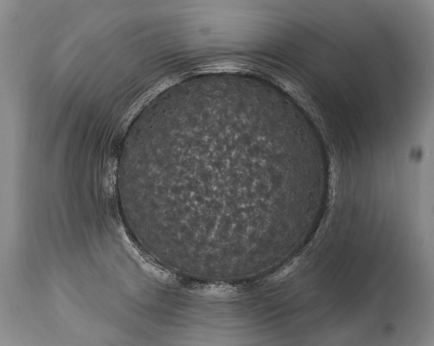 X0000115321233200911161737