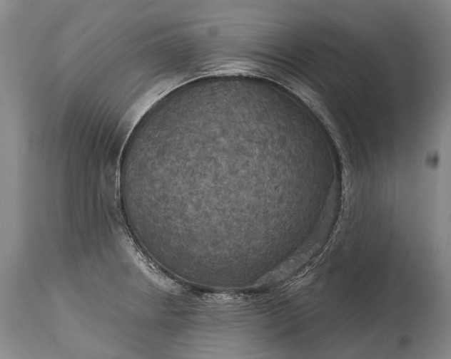 X0000115321234200911161737