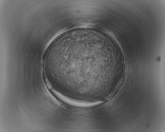 X0000115321235200911161737