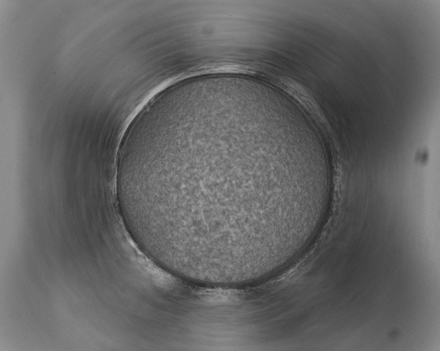 X0000115321236200911161737