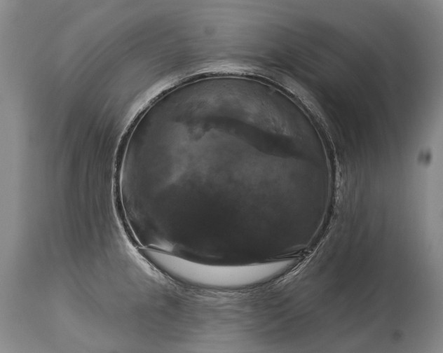 X0000115321237200911161737