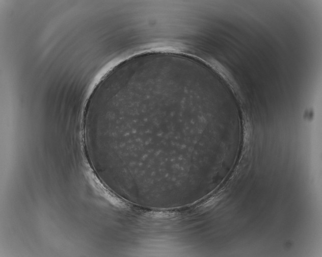 X0000115321240200911161737