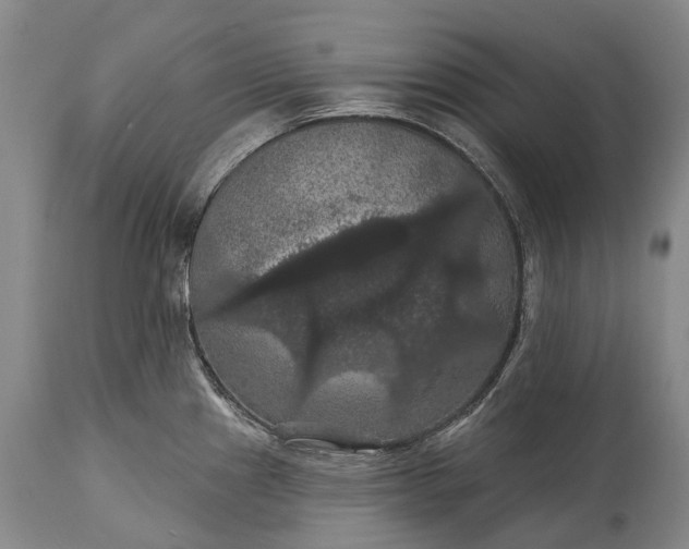 X0000115321241200911161737