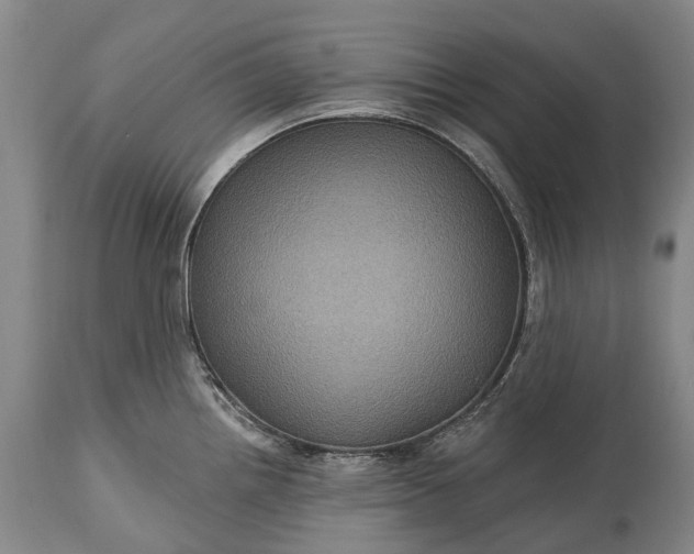 X0000115321242200911161737