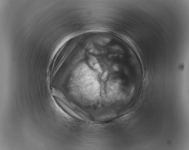 X0000115321243200911161737