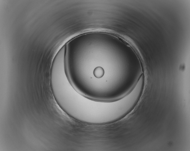 X0000115321244200911161737