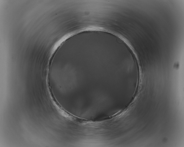 X0000115321245200911161737