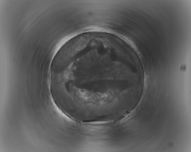 X0000115321247200911161737