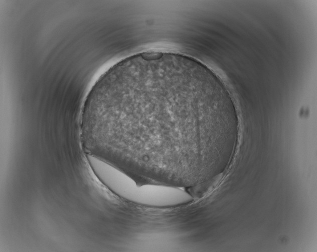 X0000115321248200911161737