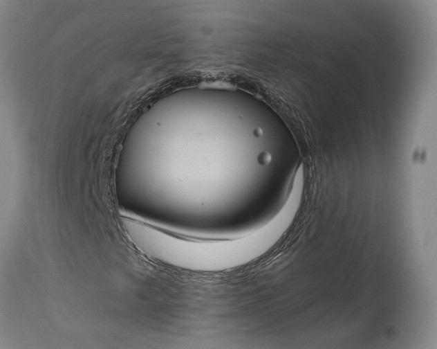 X0000115321249200911161737