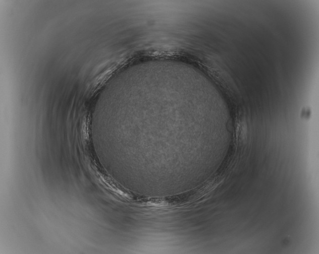 X0000115321250200911161737