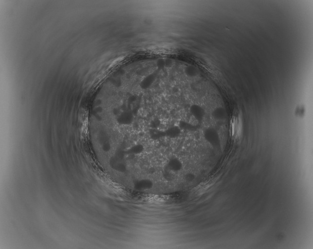 X0000115321251200911161737