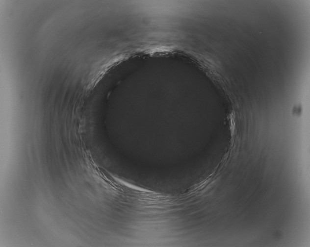 X0000115321252200911161737