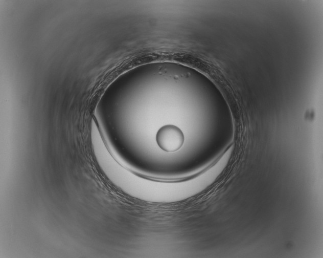 X0000115321253200911161737