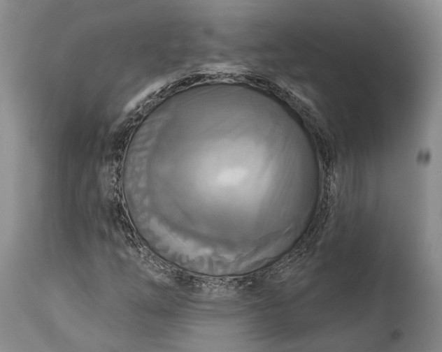 X0000115321254200911161737