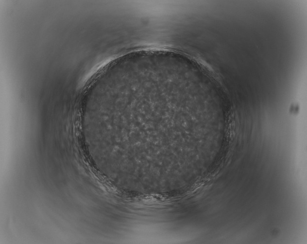 X0000115321255200911161737