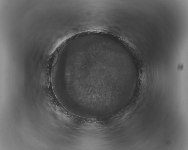 X0000115321256200911161737