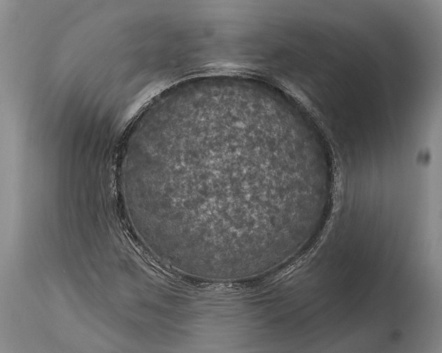 X0000115321259200911161737