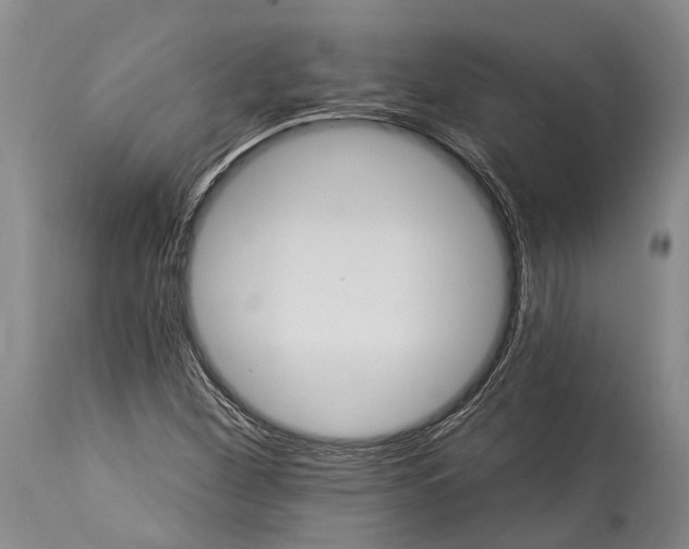 X0000115321260200911161737