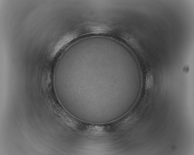 X0000115321261200911161737