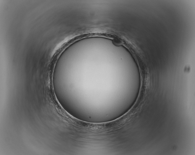 X0000115321262200911161737