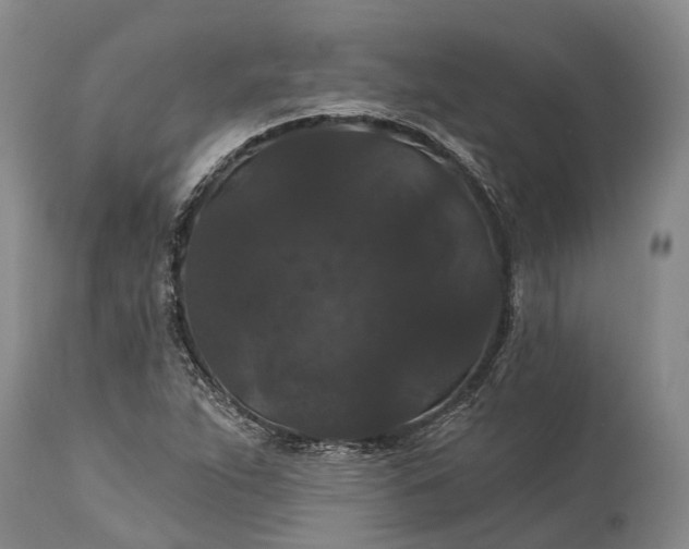 X0000115321263200911161737