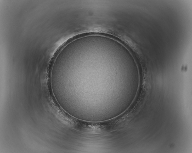 X0000115321264200911161737