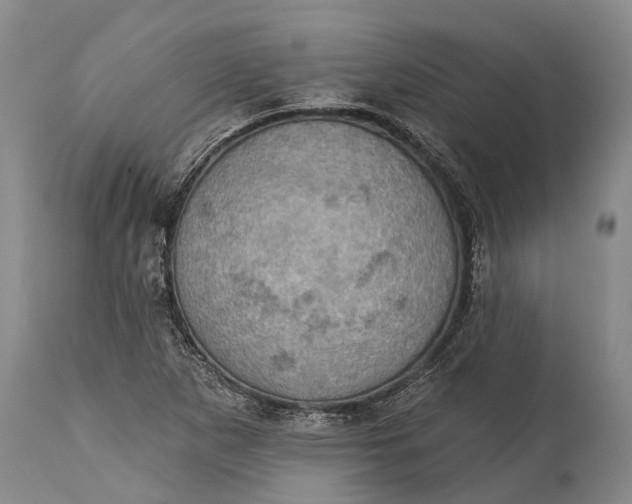 X0000115321265200911161737