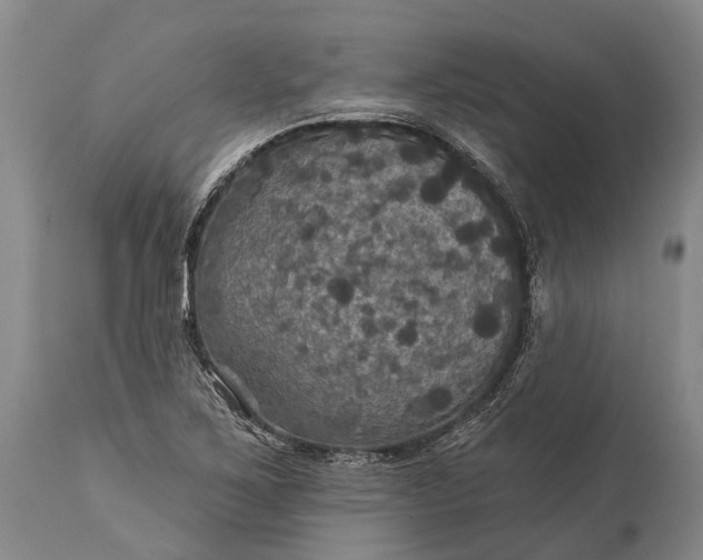 X0000115321267200911161737