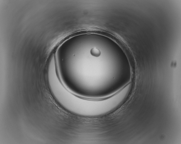 X0000115321269200911161737