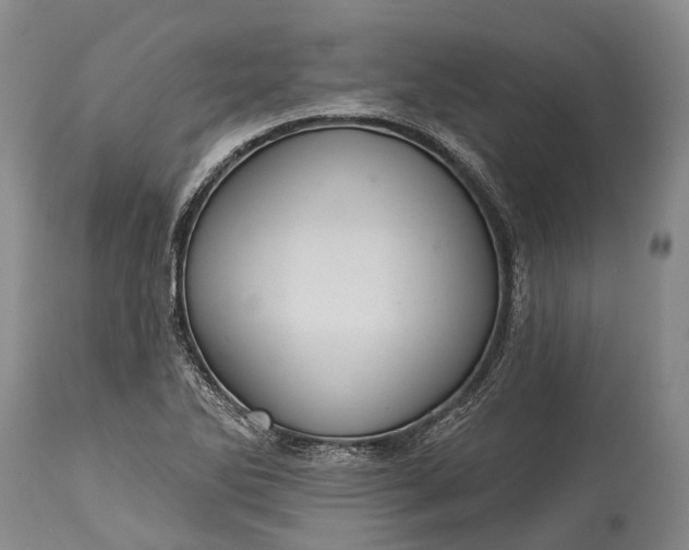 X0000115321270200911161737