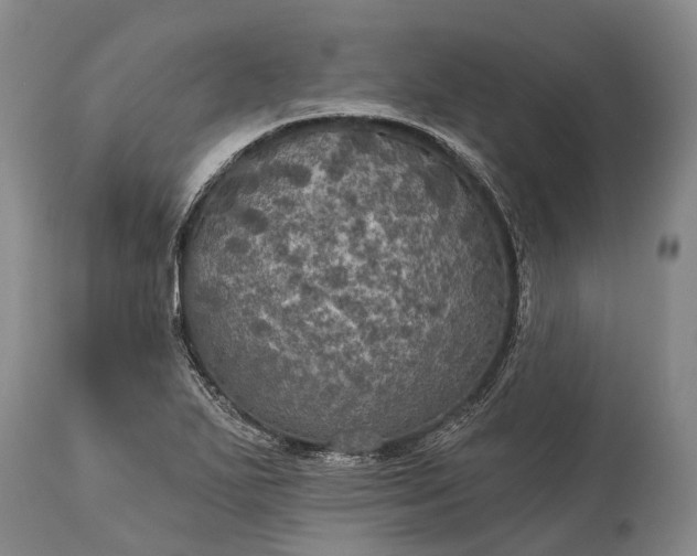 X0000115321271200911161737