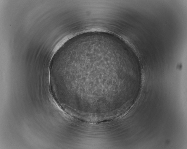 X0000115321274200911161736