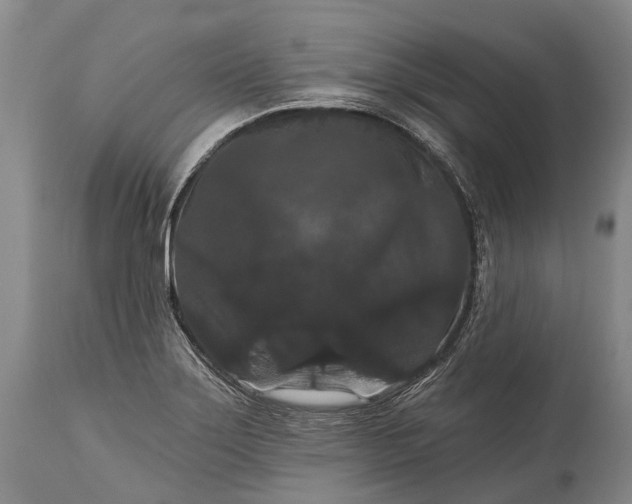 X0000115321275200911161736