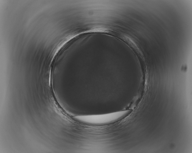 X0000115321276200911161736