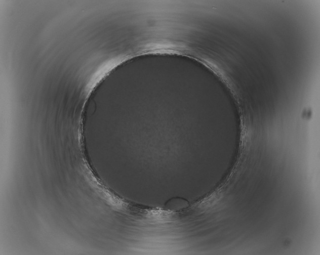 X0000115321277200911161736