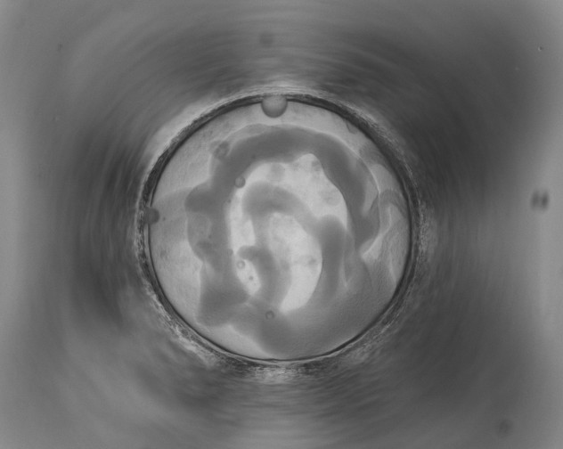 X0000115321278200911161736